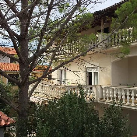 Sabunike 14490a * Dračevac